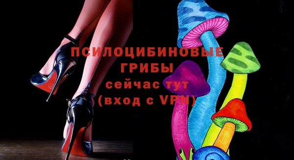 героин Лагань